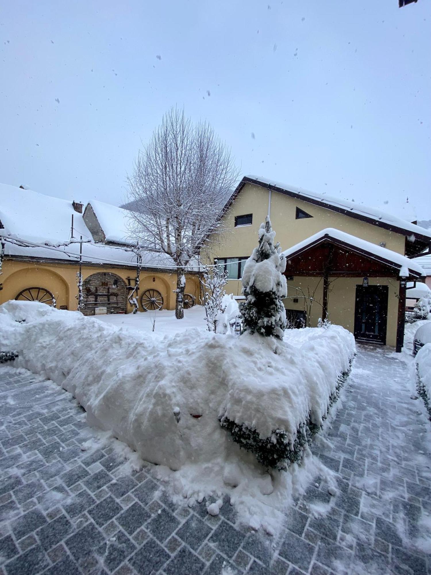 Pensiunea Domnescu Sălişte Exterior foto
