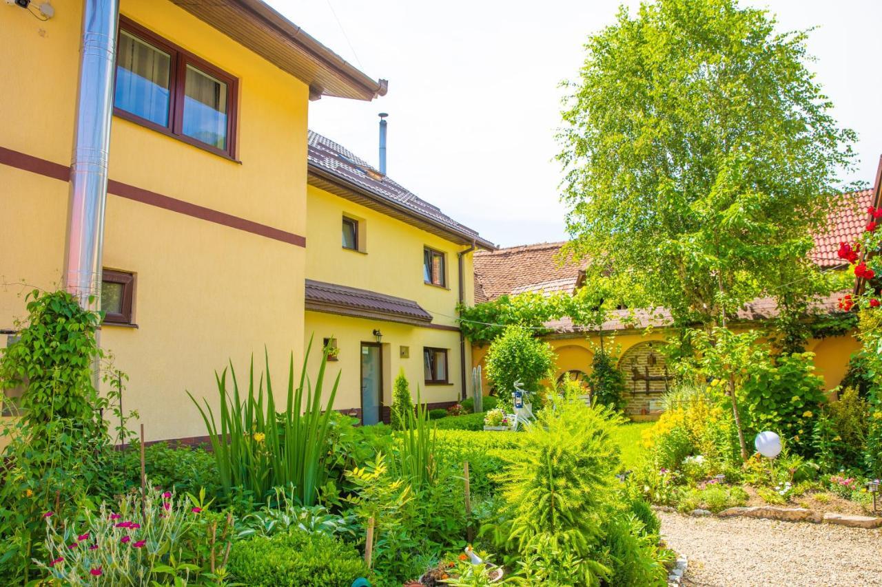 Pensiunea Domnescu Sălişte Exterior foto